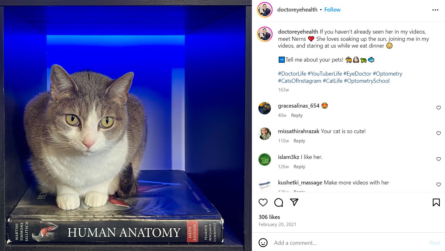 Doctor Eye Health's Instagram post about his pet cat
